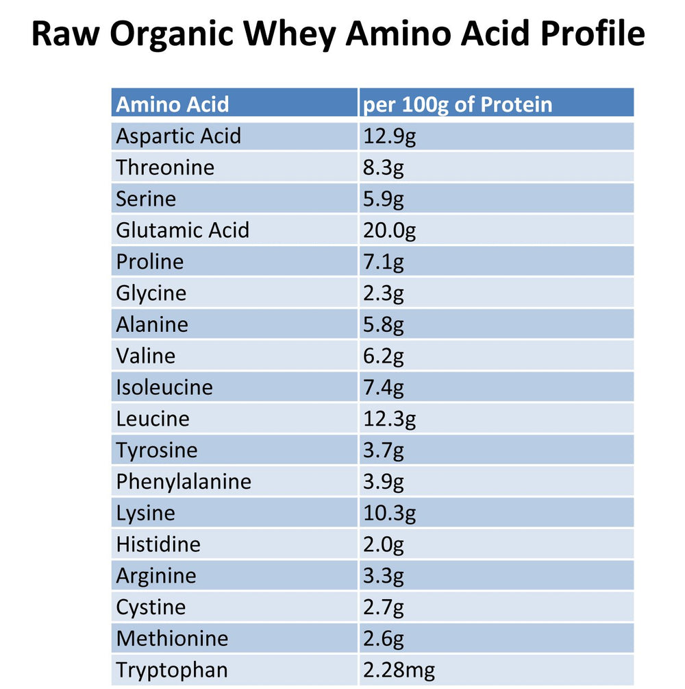 Raw Organic Whey unsweetened powder on spoon ready for recipes.