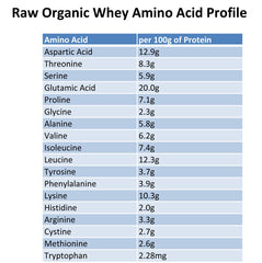 Raw Organic Whey unsweetened powder on spoon ready for recipes.