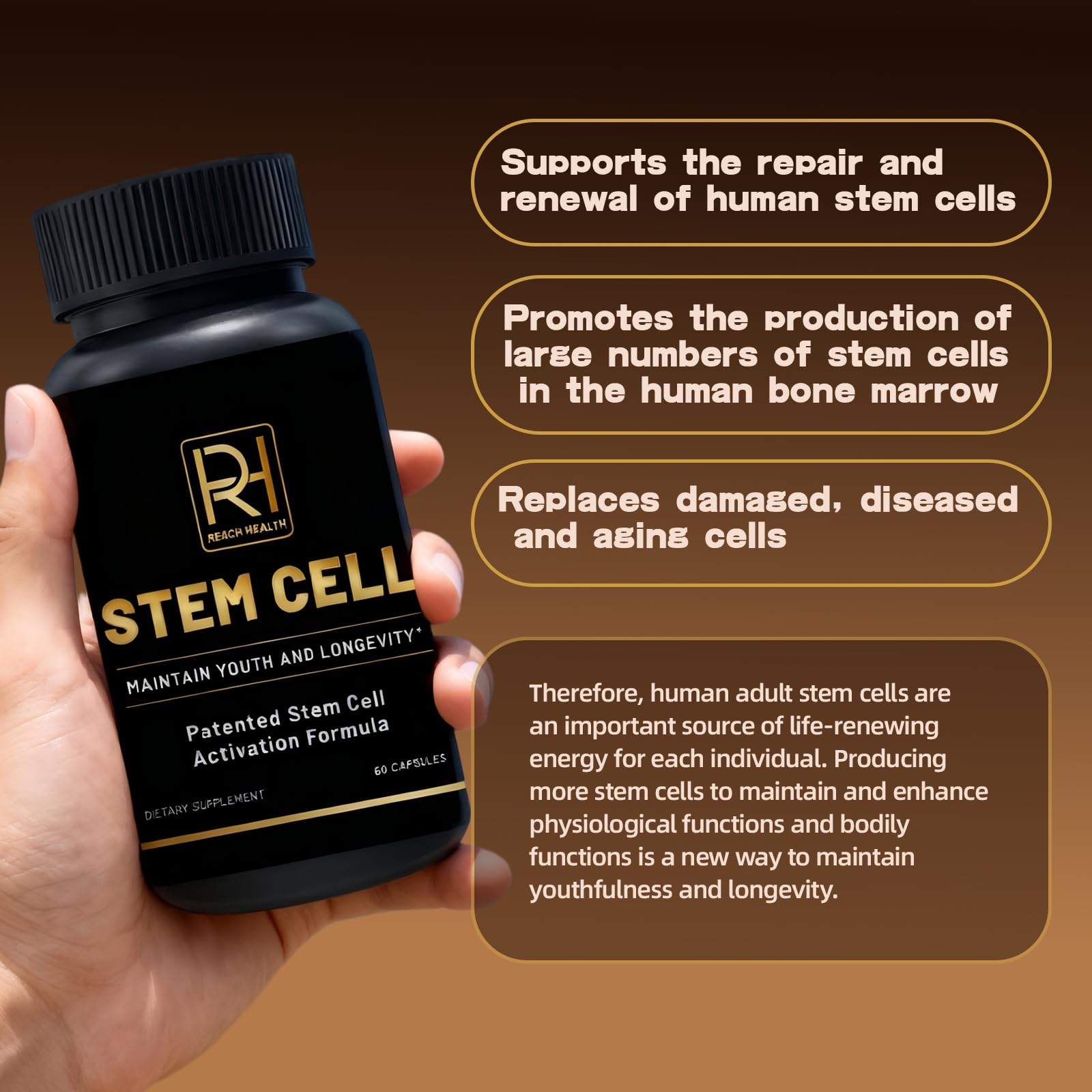 REACH HEALTH 4to1 seaweed extract, natural mineral support.