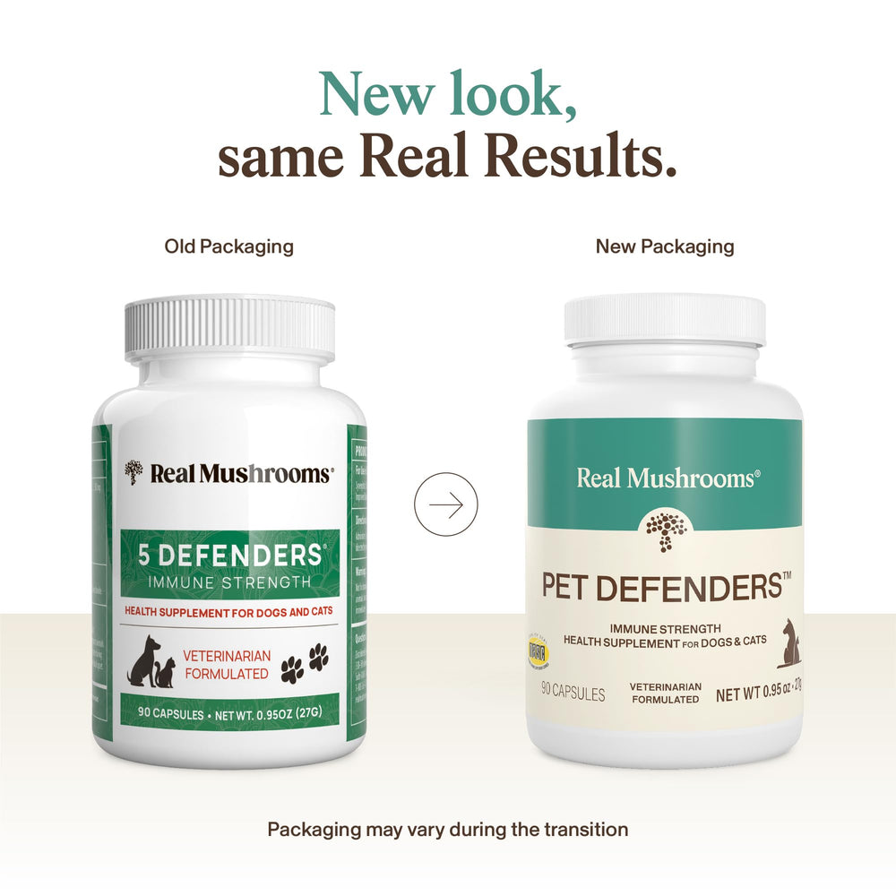Real Mushrooms 5 Defenders capsules closeup showing plant-based pet vitamins.