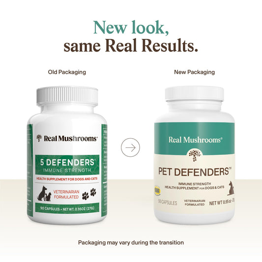 Real Mushrooms 5 Defenders capsules closeup showing plant-based pet vitamins.