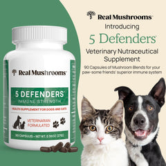 Real Mushrooms 5 Defenders label highlights organic mushrooms and clean-label pet nutrition.