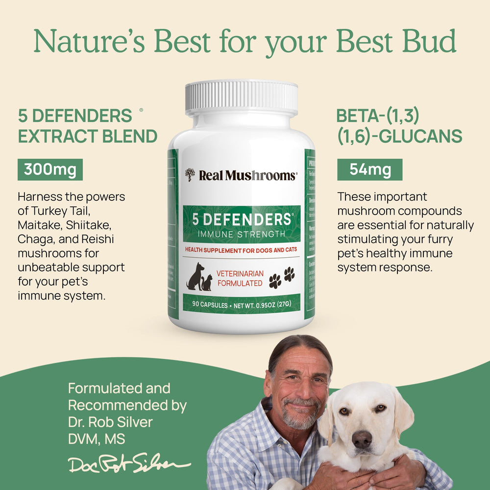 Real Mushrooms 5 Defenders organic mushrooms closeup emphasizes fruiting-body extracts.