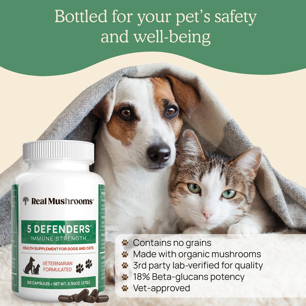 Real Mushrooms 5 Defenders organic capsules on wood surface for daily pet wellness.