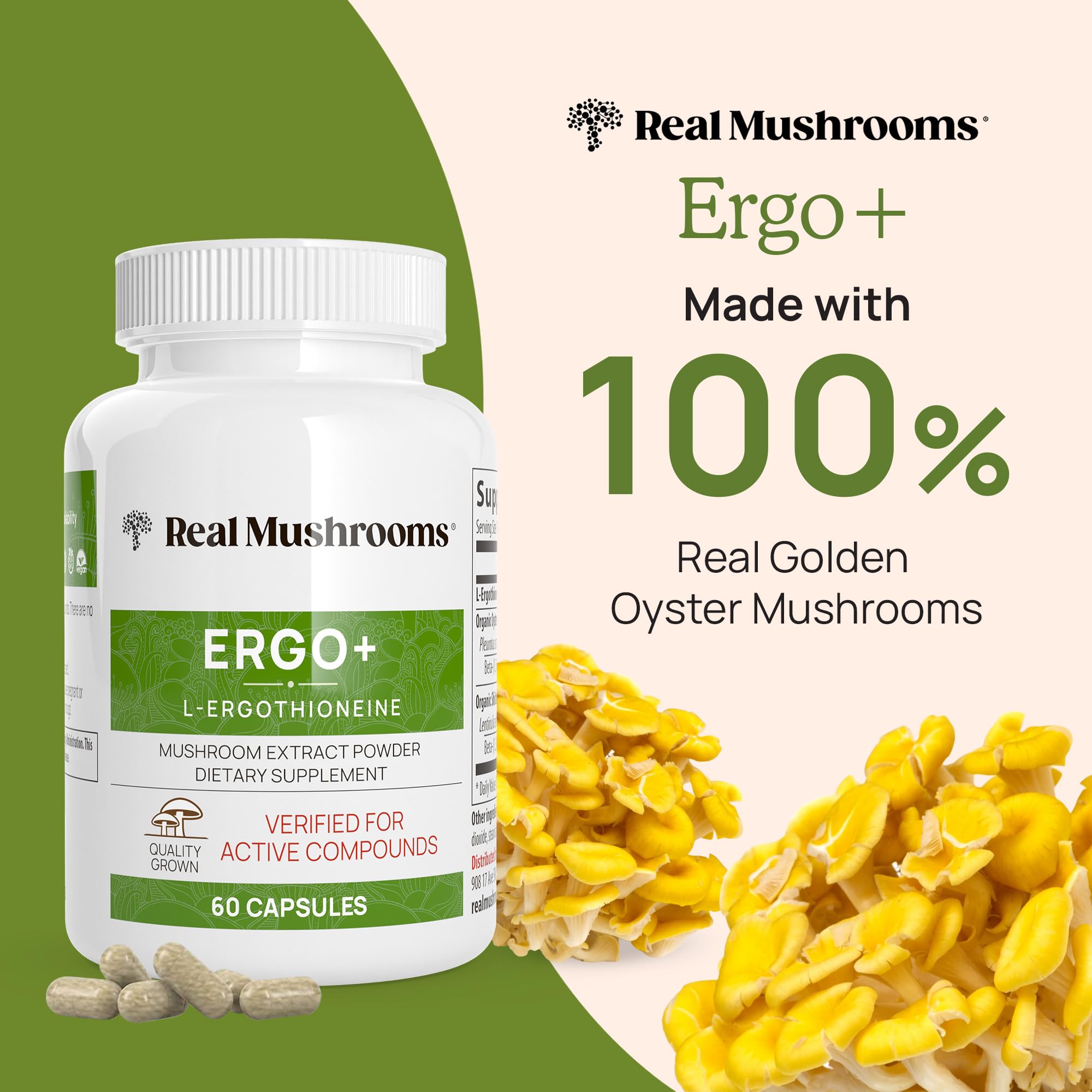 Closeup of Real Mushrooms capsules ready to take or mix into food
