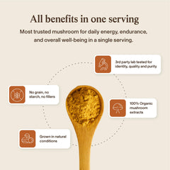 Real Mushrooms cordyceps powder on a clean surface with vegan logo