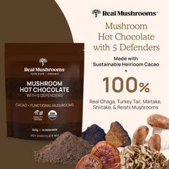 Real Mushrooms hot chocolate chaga bowl with rich, chocolatey flavor.