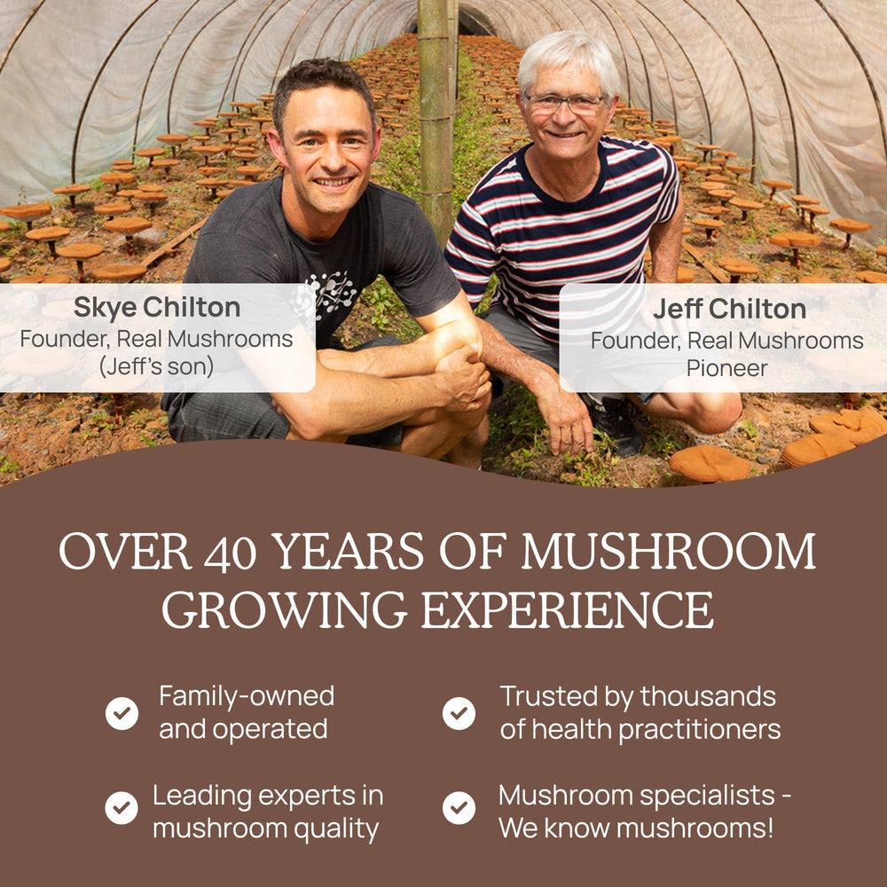 Real Mushrooms packaging highlights a clean USA-made vegan blend.