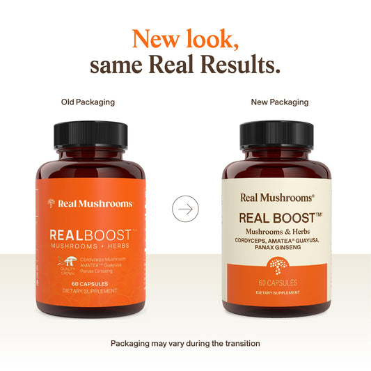 Real Mushrooms RealBoost capsules closeup highlights premium mushroom extract quality.