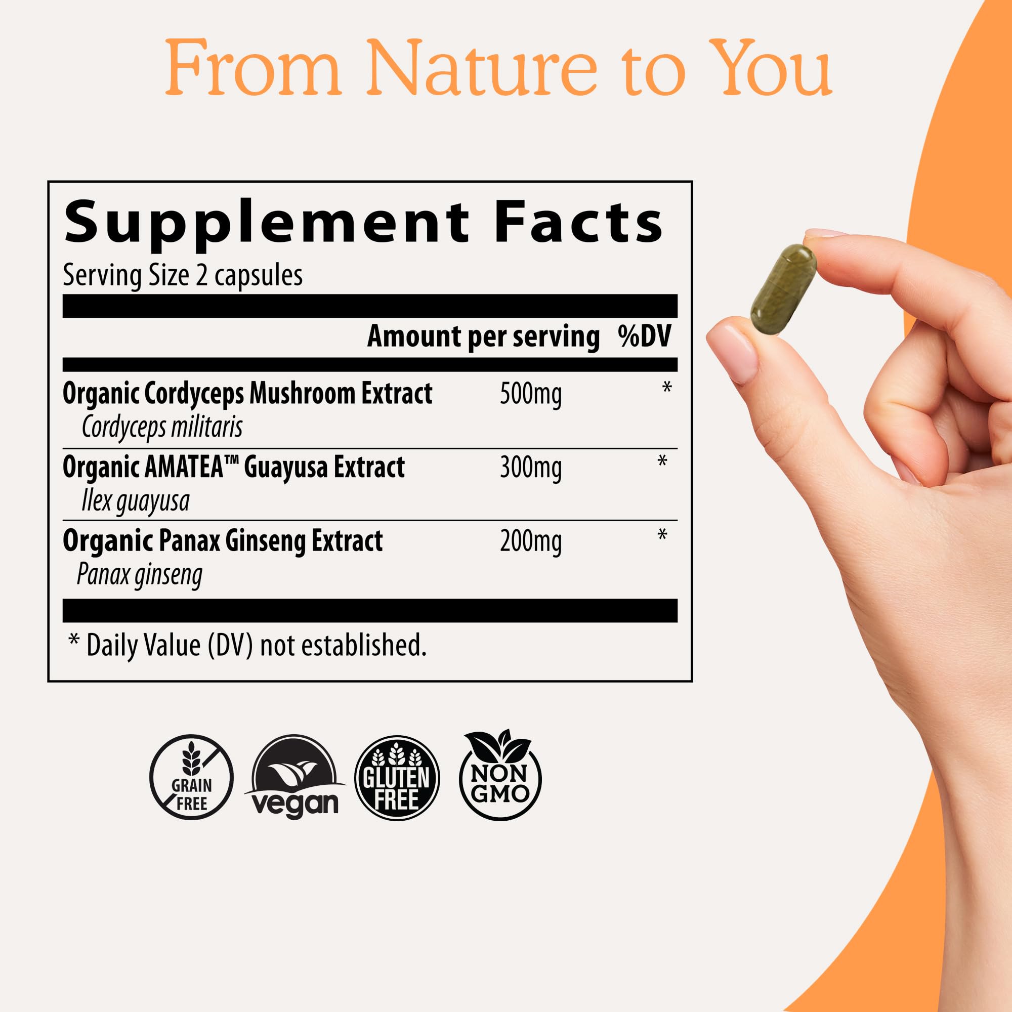 Real Mushrooms RealBoost Guayusa leaves image suggests alertness for busy days.