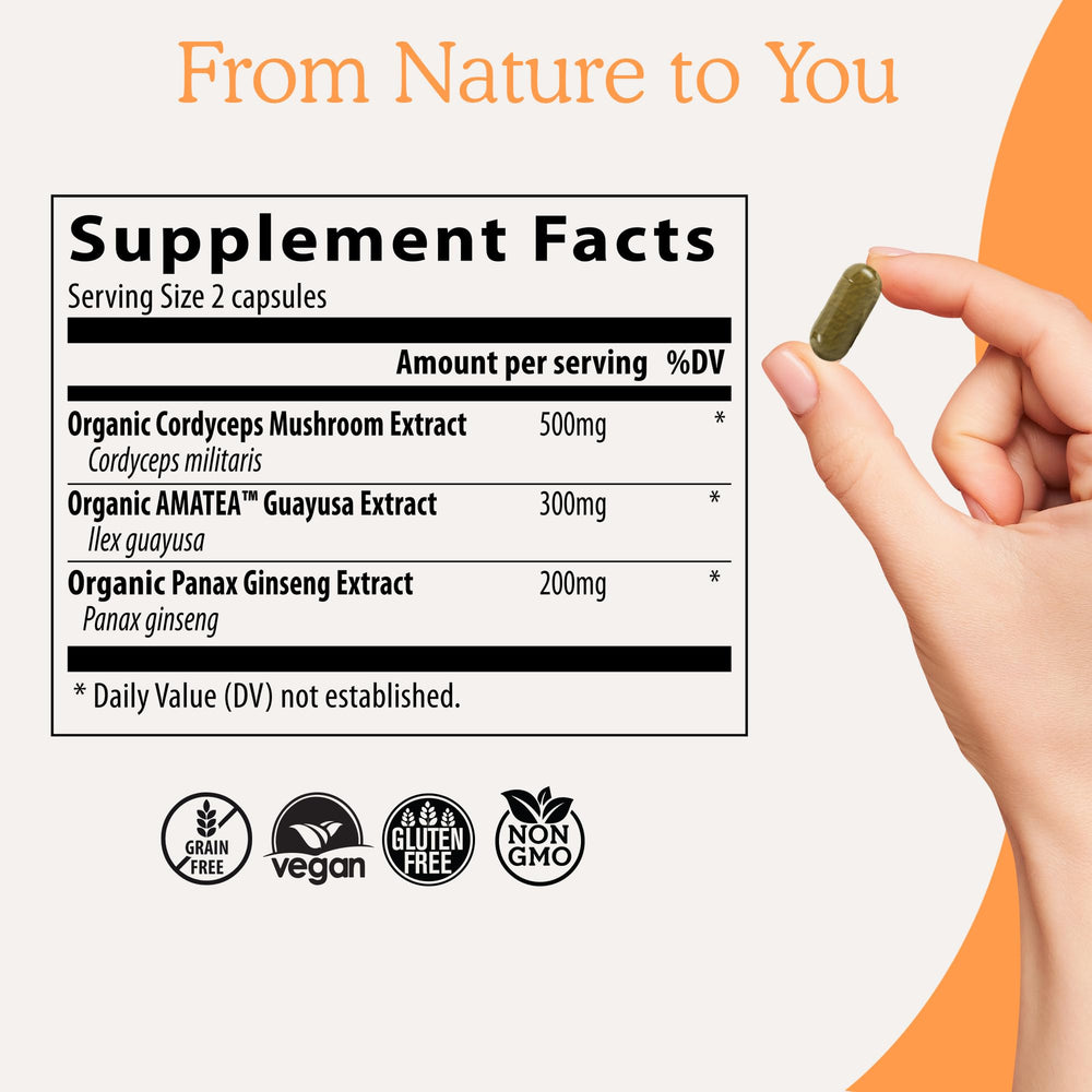 Real Mushrooms RealBoost Guayusa leaves image suggests alertness for busy days.