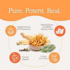 Real Mushrooms RealBoost Organic label underscores clean, vegan, non-GMO formulation.