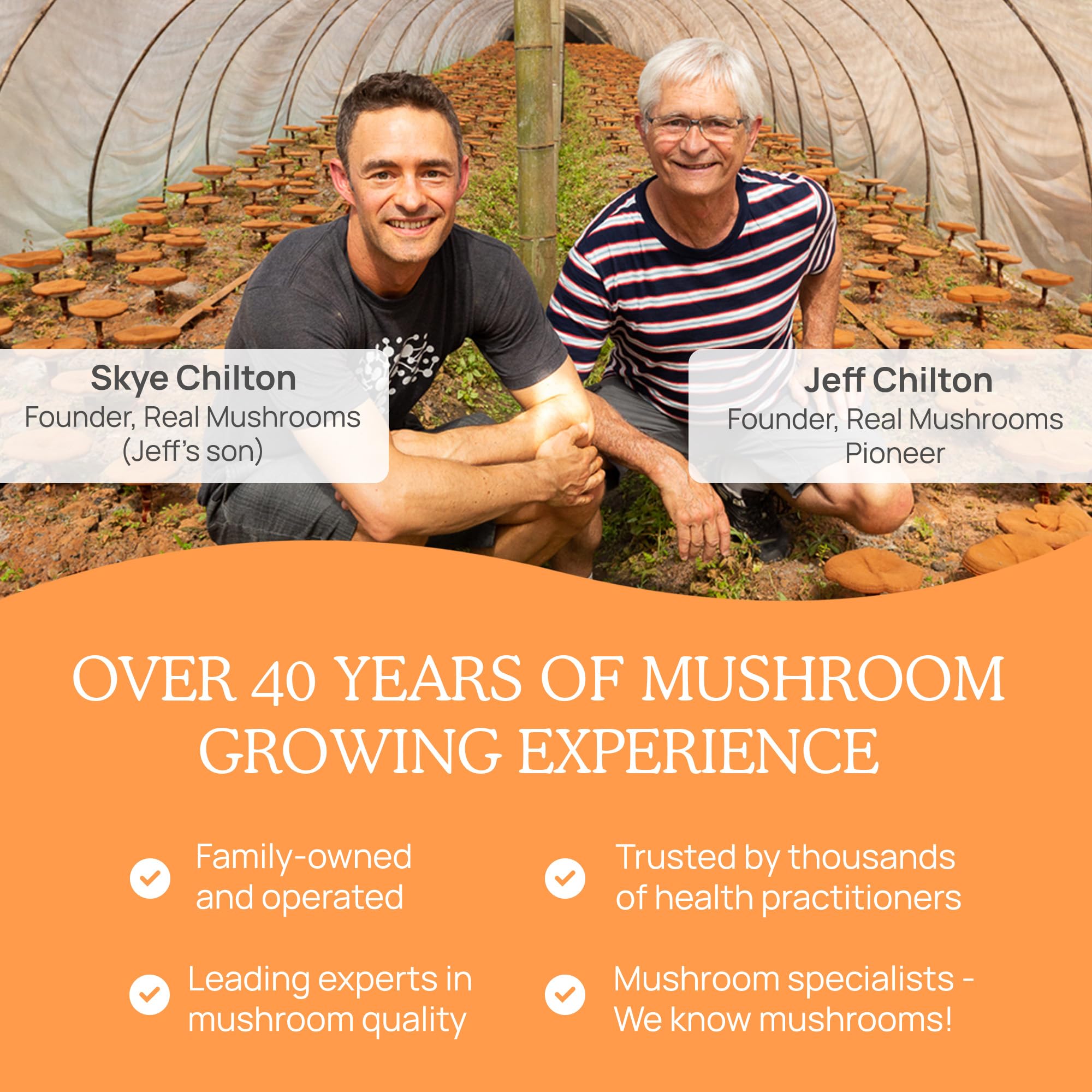 Real Mushrooms RealBoost shelf display invites daily wellness routine.