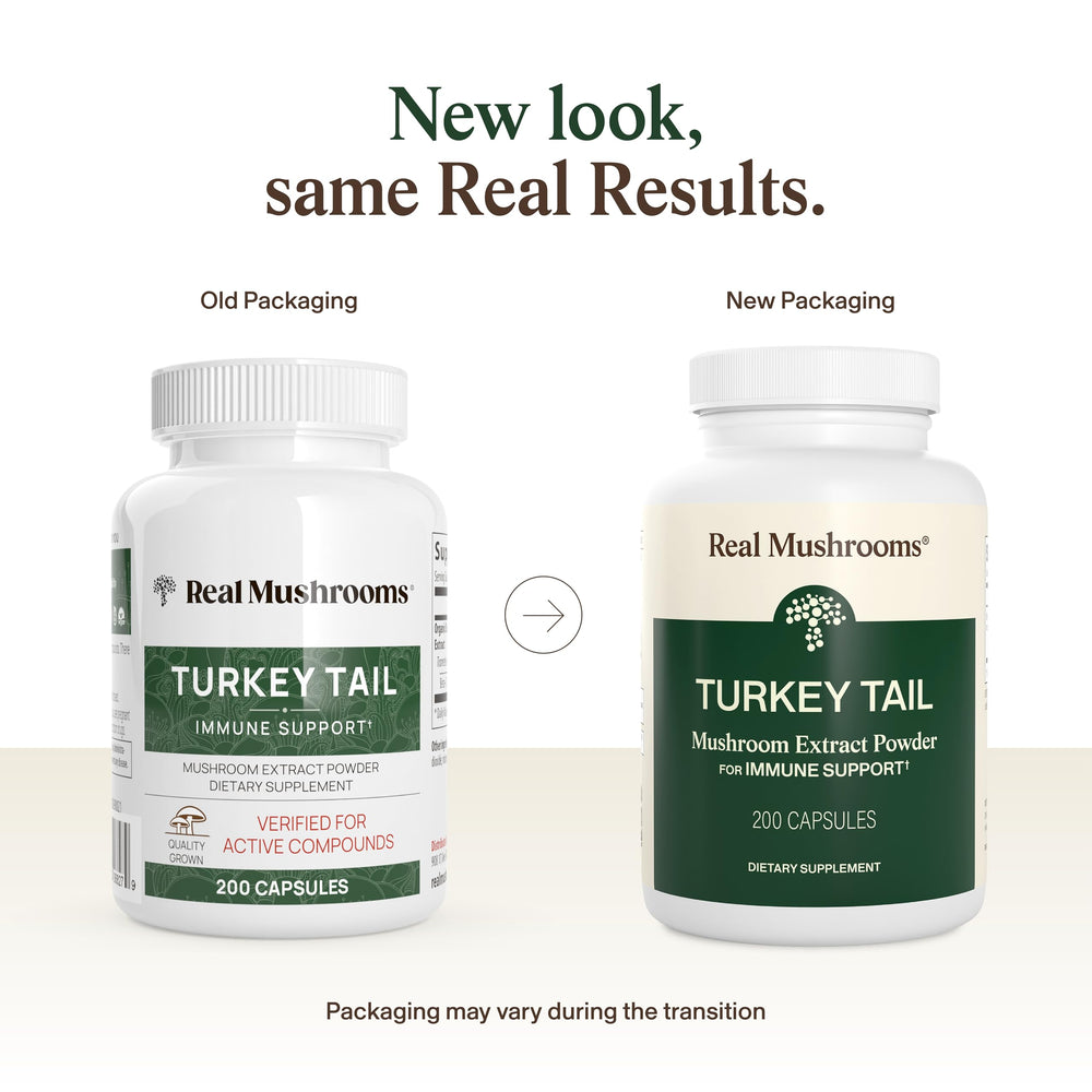 Real Mushrooms Turkey Tail capsules close-up, vegan and non-GMO daily wellness support