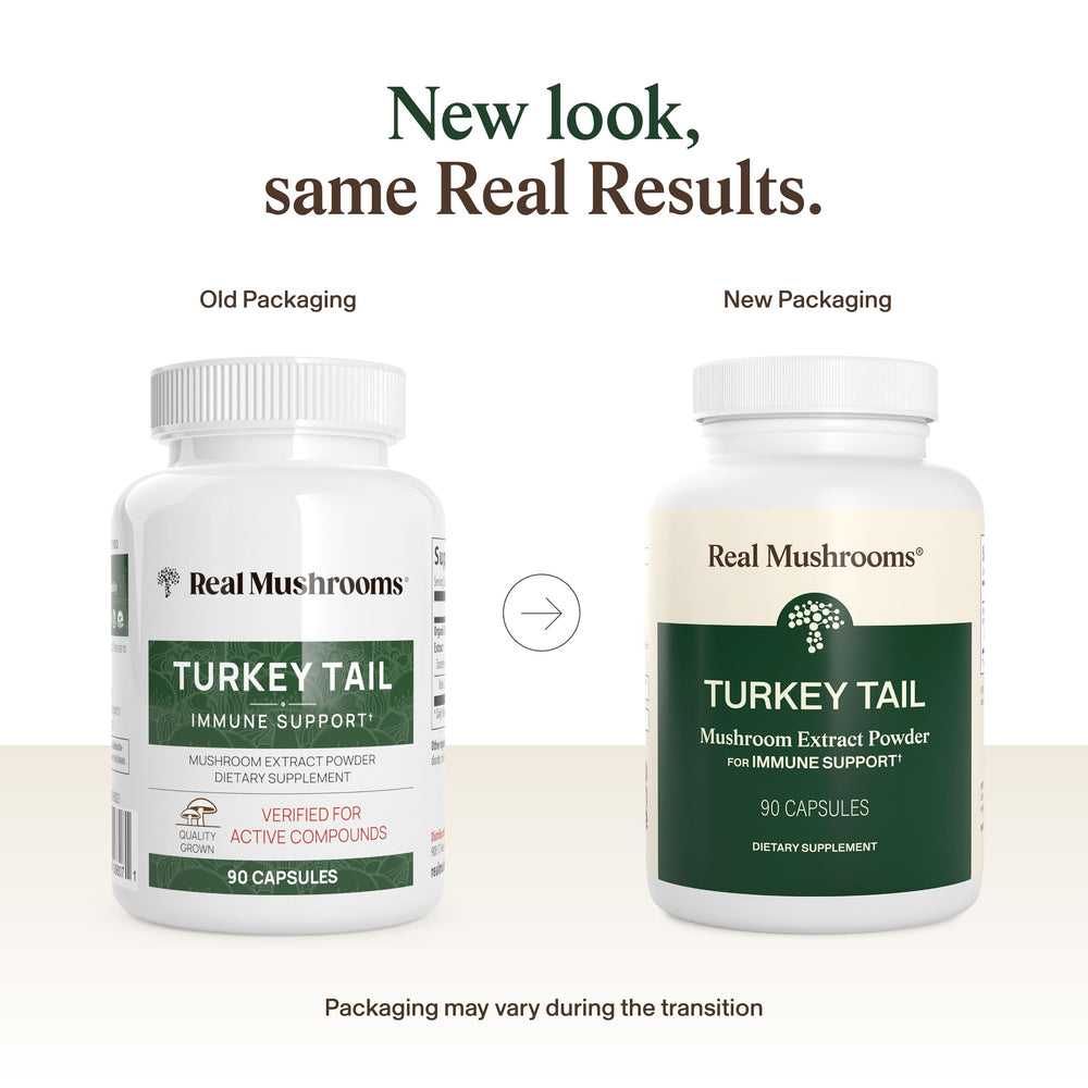 Real Mushrooms turkey tail capsules close-up highlighting vegan, organic nutrition for daily balance.