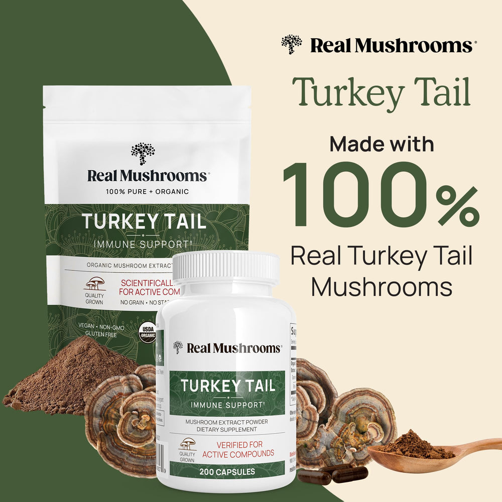 Real Mushrooms Turkey Tail powder jar closeup highlights pure fruiting bodies