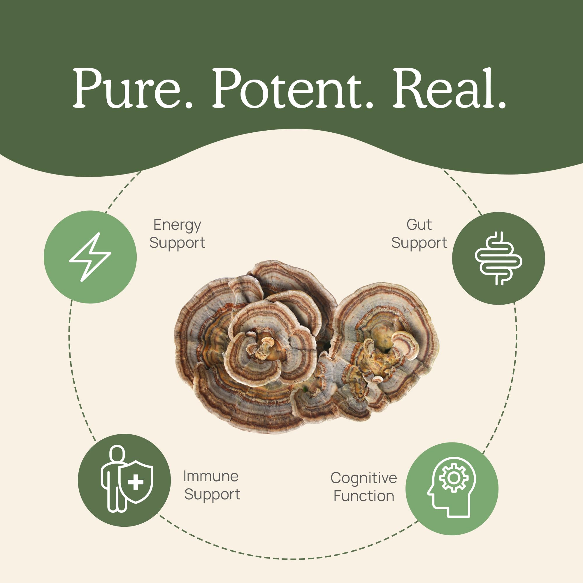 Real Mushrooms Turkey Tail powder label detail emphasizes clean-label quality