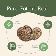 Real Mushrooms Turkey Tail powder label detail emphasizes clean-label quality