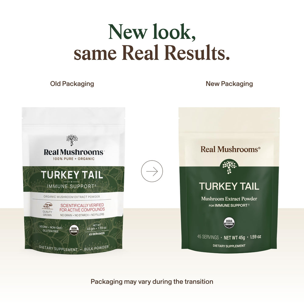 Real Mushrooms Turkey Tail powder scoop highlights easy daily dosing.