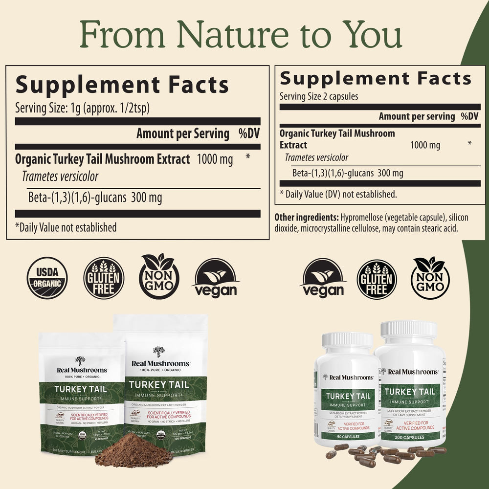 Real Mushrooms Turkey Tail powder scoop shows convenient daily portion