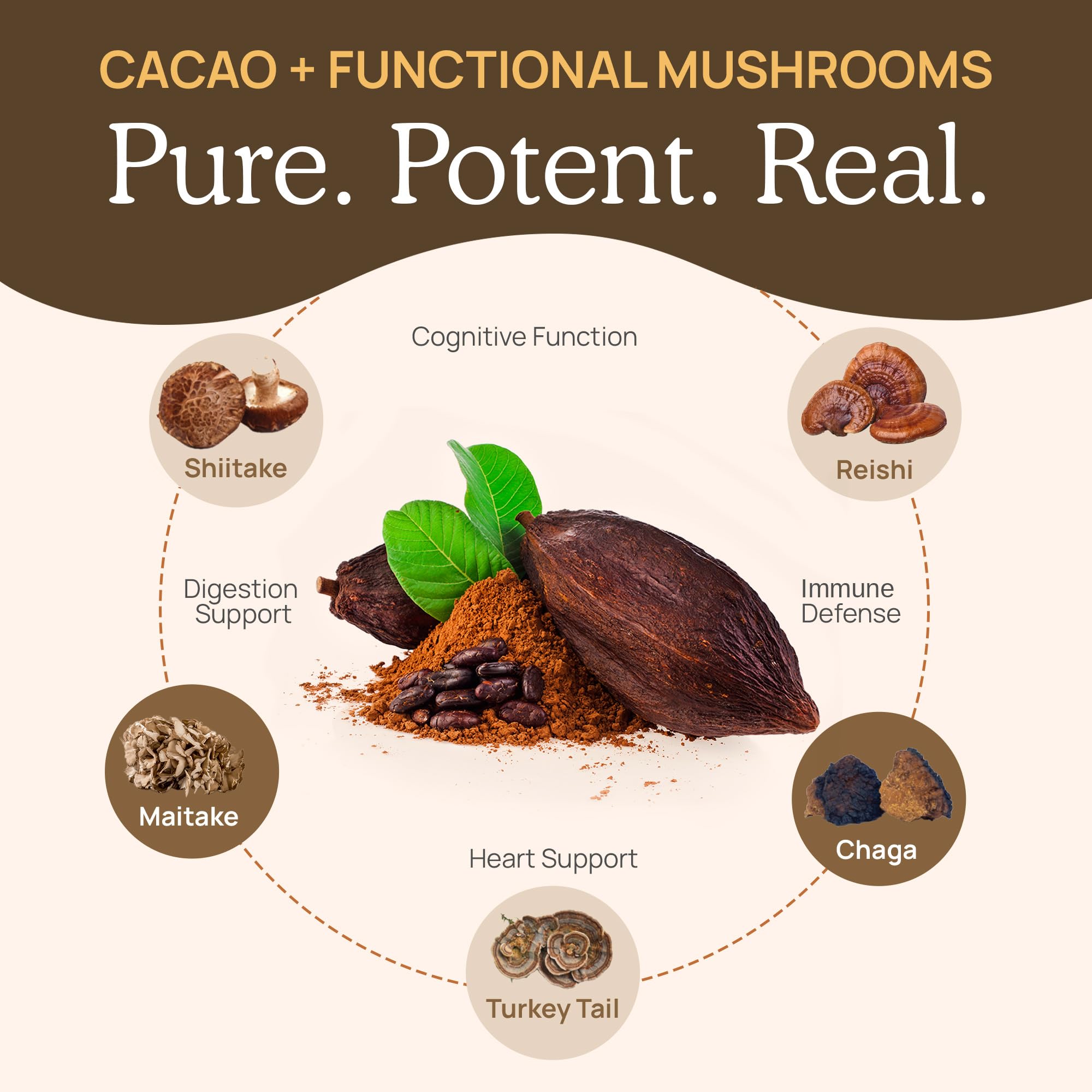 Real Mushrooms beta-glucans from fruiting bodies lab-tested for quality.