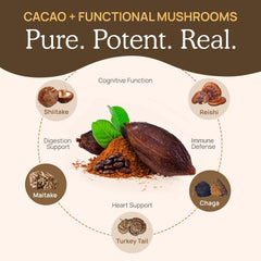 Real Mushrooms beta-glucans from fruiting bodies lab-tested for quality.