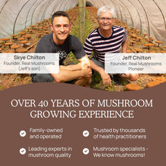 Real Mushrooms brings 40+ years of expertise to a clean-label cacao blend.