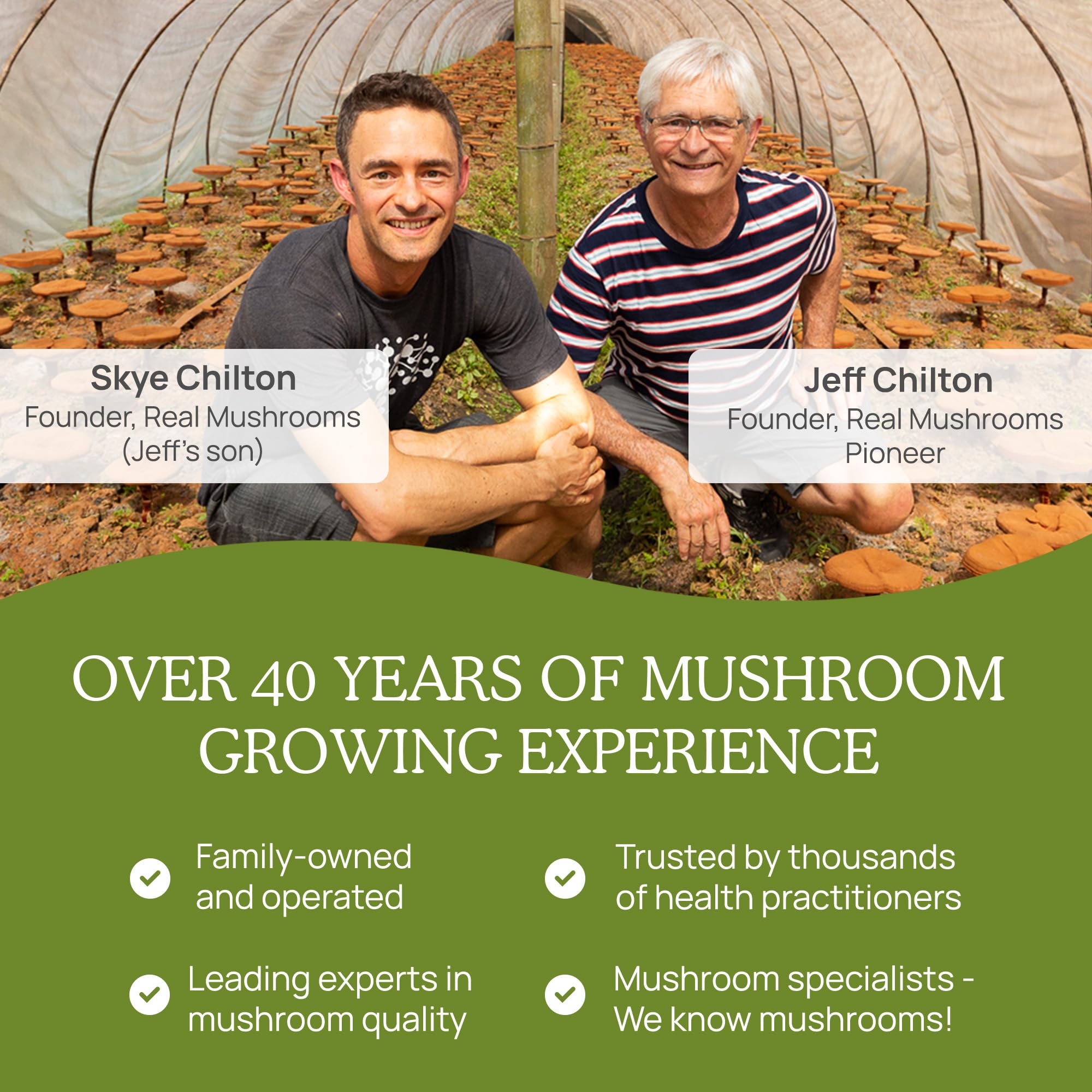 Real Mushrooms vegan and gluten-free status on packaging