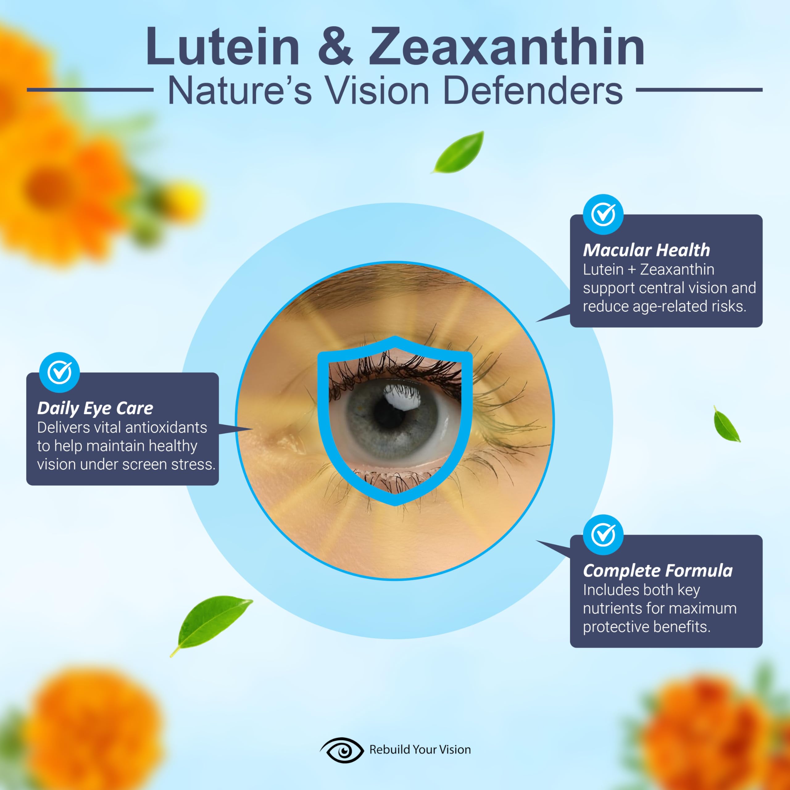 Ocu-Plus ingredients chart featuring lutein, zeaxanthin, bilberry.
