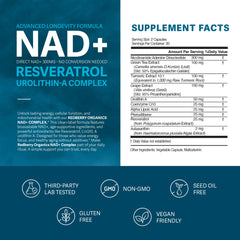 Redberry NAD Plus capsules ready for a consistent longevity routine.