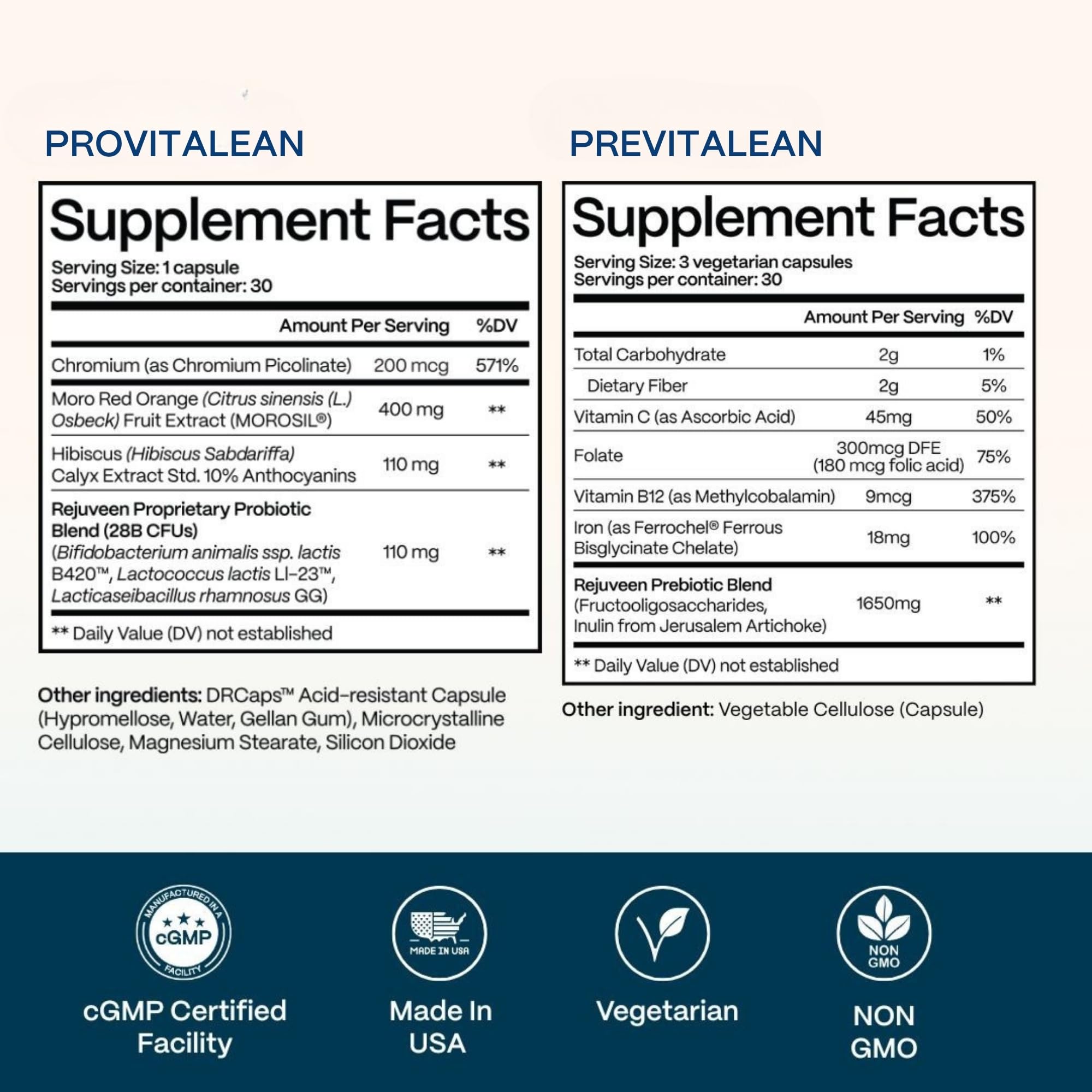 Rejuveen illustration showing gut-health synergy between probiotic and prebiotic.