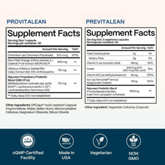 Rejuveen illustration showing gut-health synergy between probiotic and prebiotic.