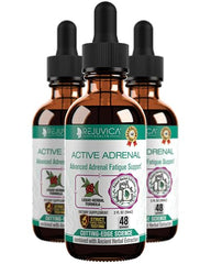 Rejuvica Health Active Adrenal tincture bottle on a shelf for daily use.