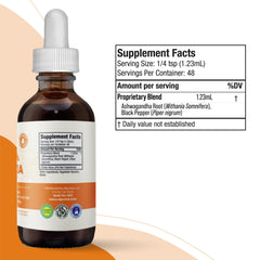 Rejuvica Health Active Ashwagandha root detail close-up showing natural withanolide content.
