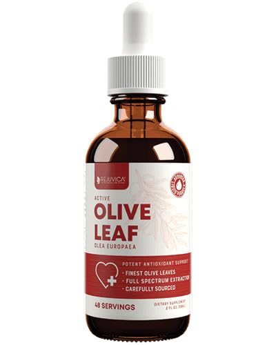 Rejuvica Health Active Olive Leaf Drops bottle highlighting immune and heart support.