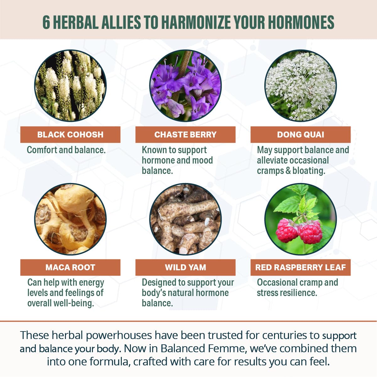 Herbalist-guided formulation badge for trusted natural wellness.
