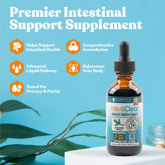 Rejuvica Health IntestiClear dropper dispense showing fast-absorbing herbal tincture.
