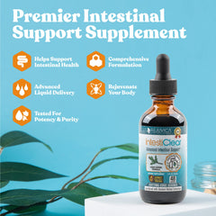 Rejuvica Health IntestiClear dropper dispense showing fast-absorbing herbal tincture.