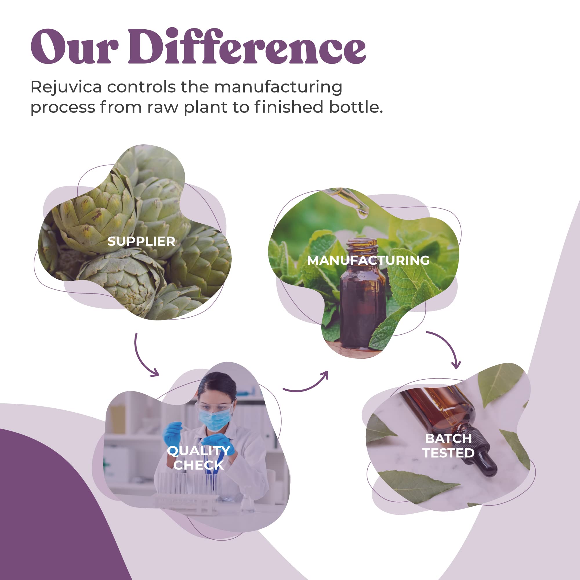 Rejuvica Health organic and wildcrafted ingredients symbolizing clean sourcing