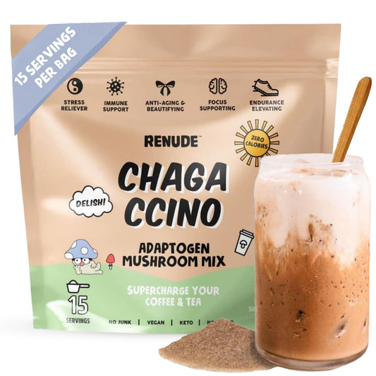 Renude Chagaccino bottle front with wild-foraged chaga and antioxidant-friendly blend