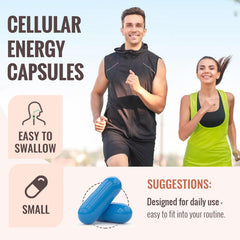 Resciency black pepper extract boosts absorption.