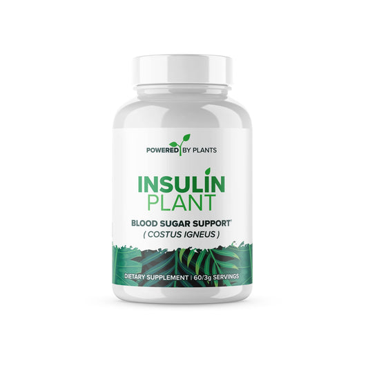 Research Biotech Group insulin plant capsules with 3000mg bottle for reliable plant-powered wellness