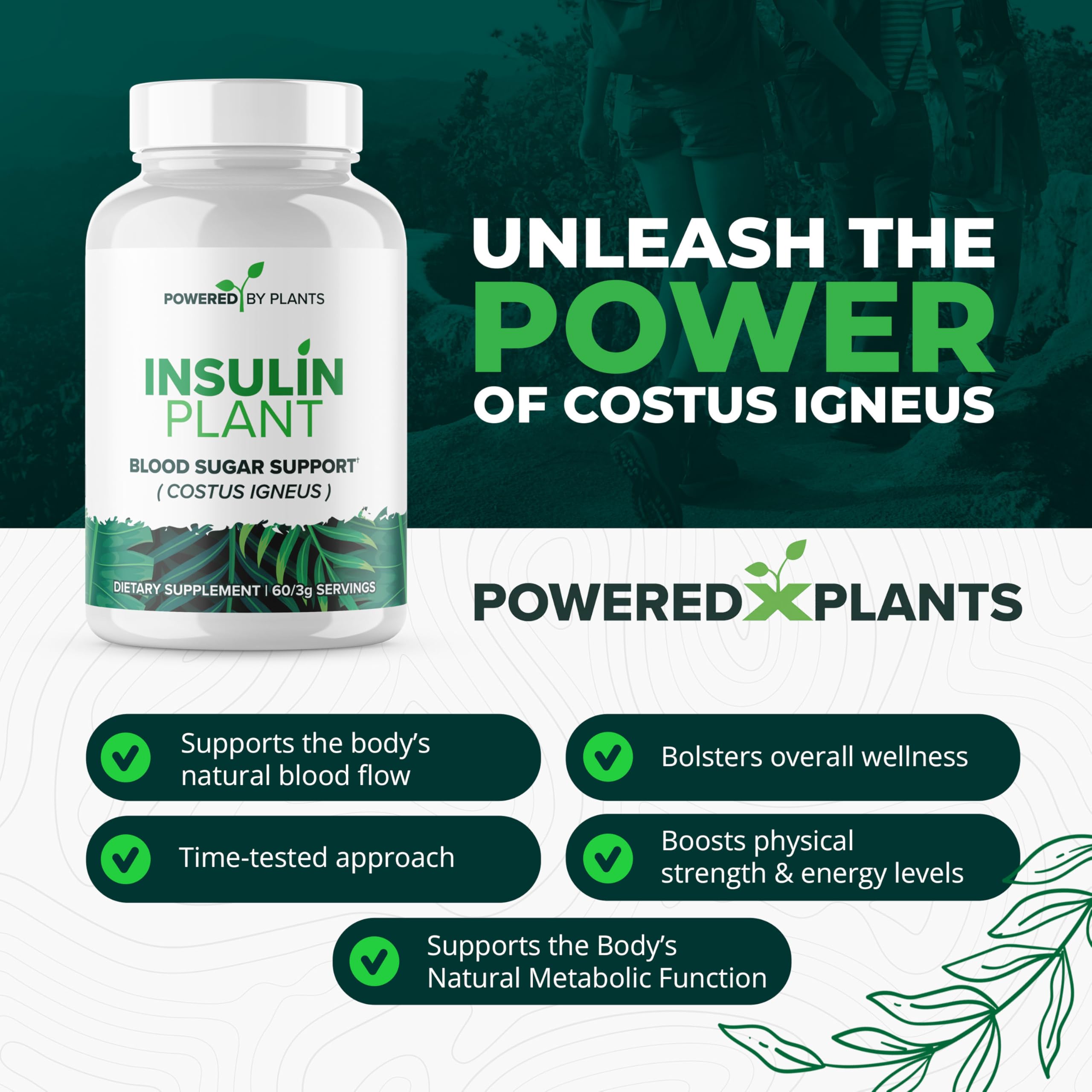 Research Biotech Group insulin plant leaf powder container highlights the natural ingredient source