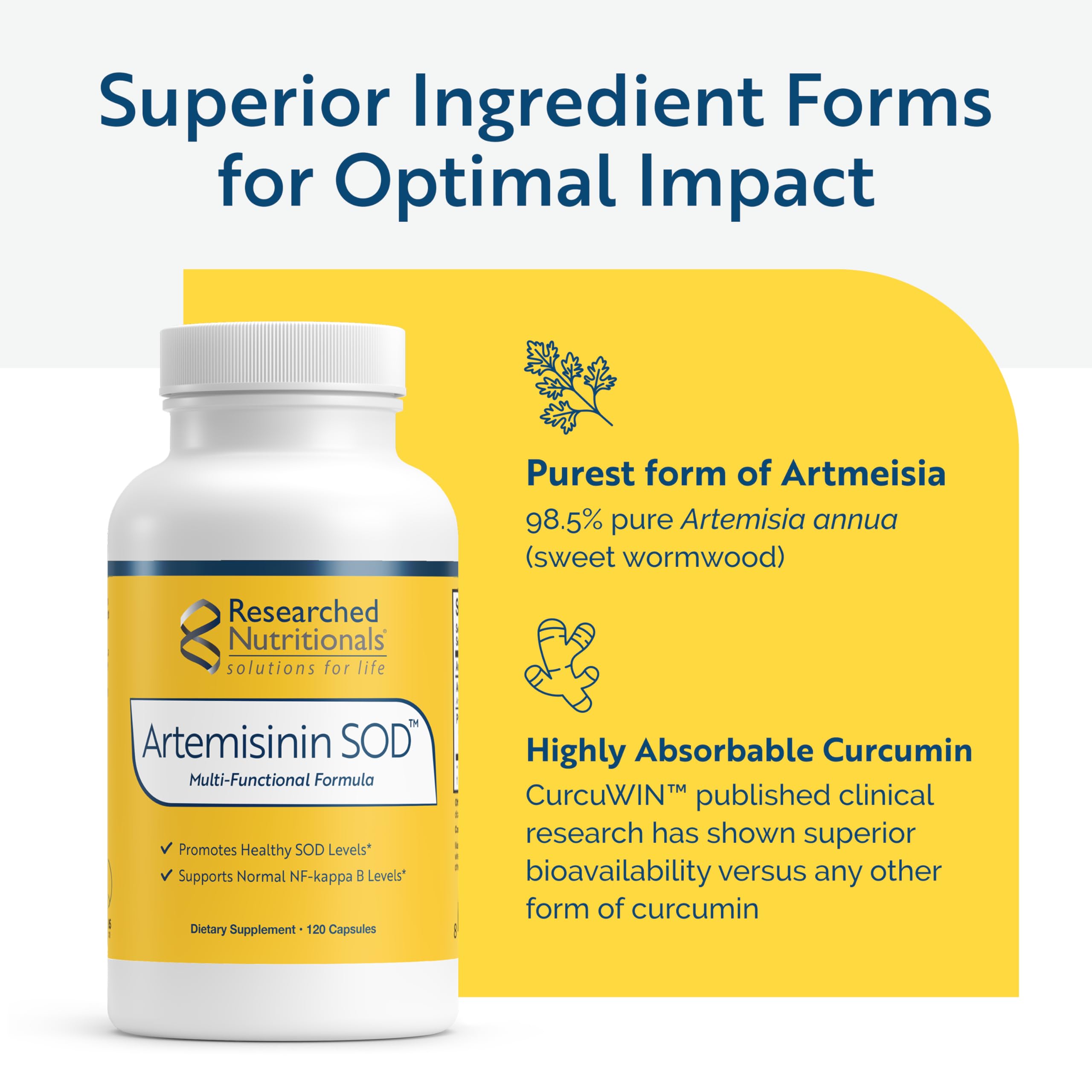 Researched Nutritionals Artemisinin SOD bottle on table conveys everyday wellness routine.