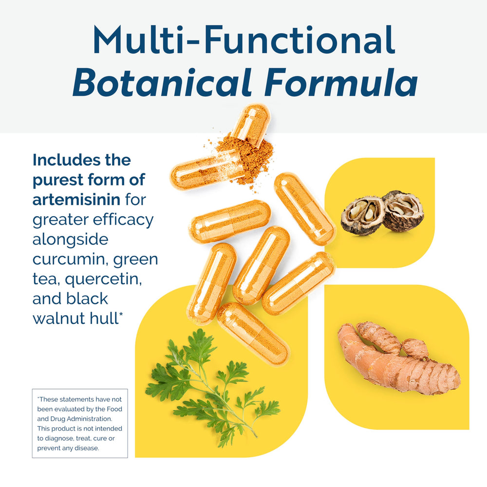 Researched Nutritionals Artemisinin SOD label closeup showcases ingredients and purity indicators.