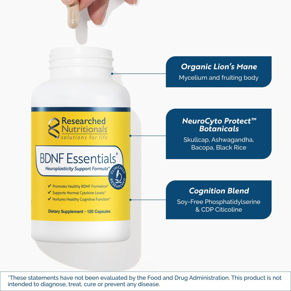 Bacopa Monnieri graphic highlighting memory support in BDNF Essentials.