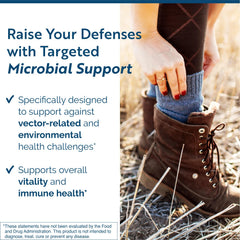 Researched Nutritionals BLT ingredient profile highlights red root and boneset blend.