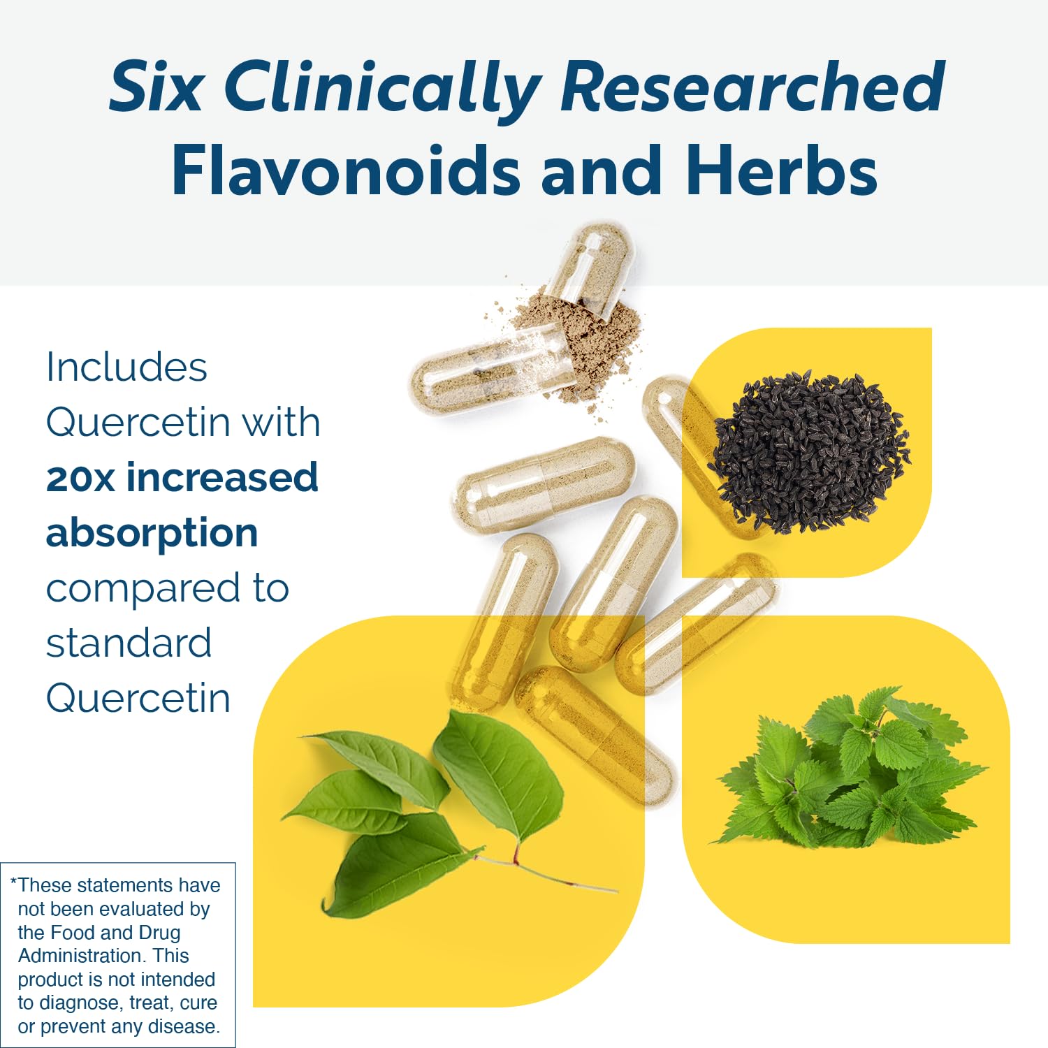 Researched Nutritionals HistaQuel label highlighting vegetarian and non-GMO formulation