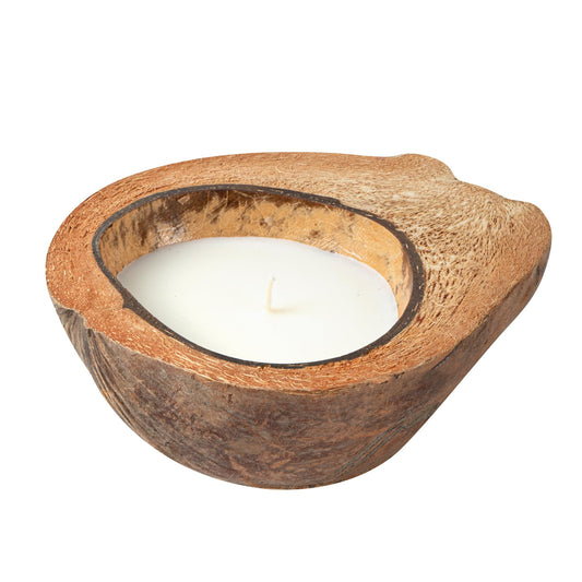 Coco Casa coconut shell close-up showing natural texture