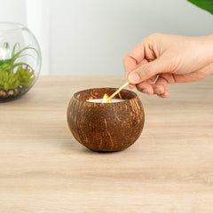 Restaurantware Coco Casa on table setting creating inviting ambience for meals.
